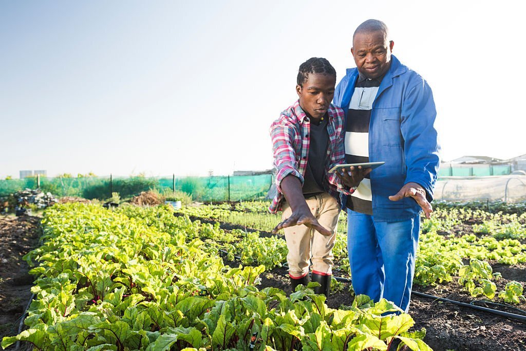 Pourquoi choisir la filière de l’agronomie après son Bac ?